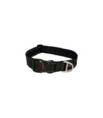 Rogz Classic Dog Collar – Image 2